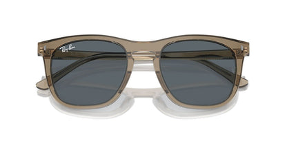 Gafas De Sol Ray-Ban RB2210 Azul/Café