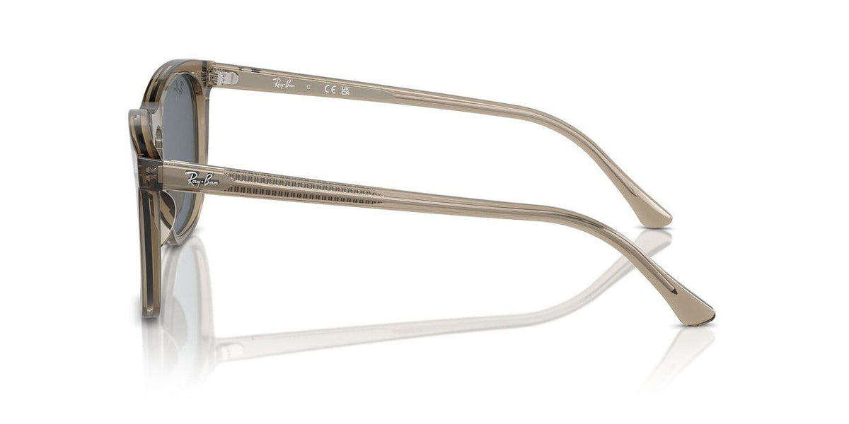 Gafas De Sol Ray-Ban RB2210 Azul/Café