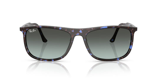 Gafas De Sol Ray-Ban RB2216 Negro/Havana