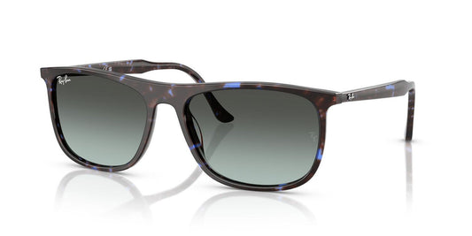 Gafas De Sol Ray-Ban RB2216 Negro/Havana
