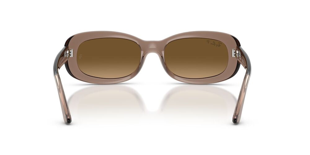 Gafas De Sol Ray-Ban RB2221 Café/Café