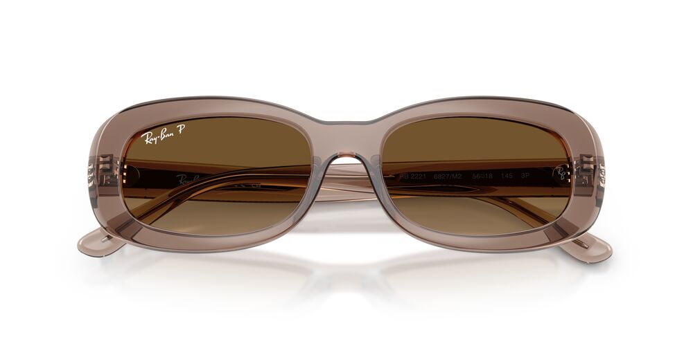 Gafas De Sol Ray-Ban RB2221 Café/Café