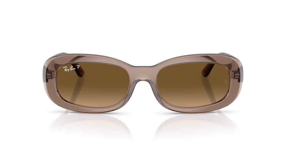 Gafas De Sol Ray-Ban RB2221 Café/Café