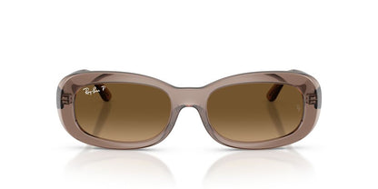 Gafas De Sol Ray-Ban RB2221 Café/Café
