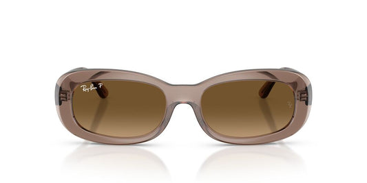 Gafas De Sol Ray-Ban RB2221 Café/Café