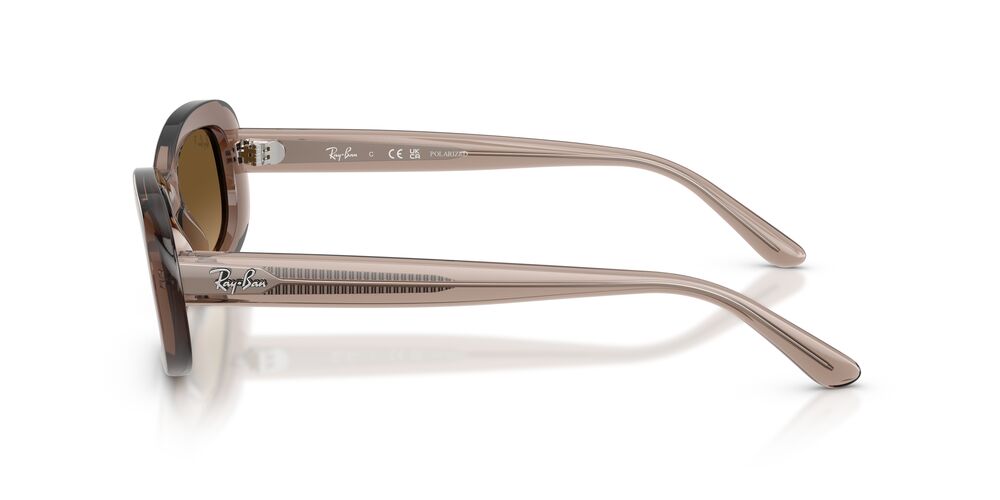 Gafas De Sol Ray-Ban RB2221 Café/Café