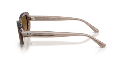 Gafas De Sol Ray-Ban RB2221 Café/Café