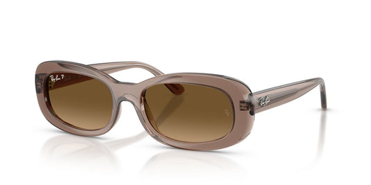 Gafas De Sol Ray-Ban RB2221 Café/Café