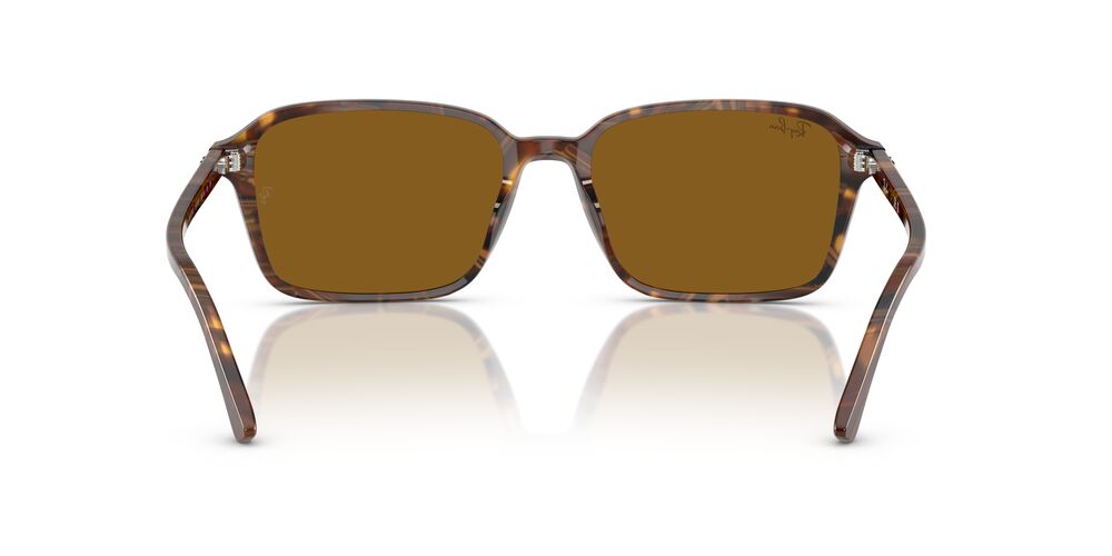 Gafas De Sol Ray-Ban RB2231 Café/Café