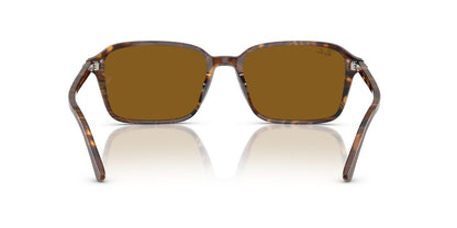 Gafas De Sol Ray-Ban RB2231 Café/Café