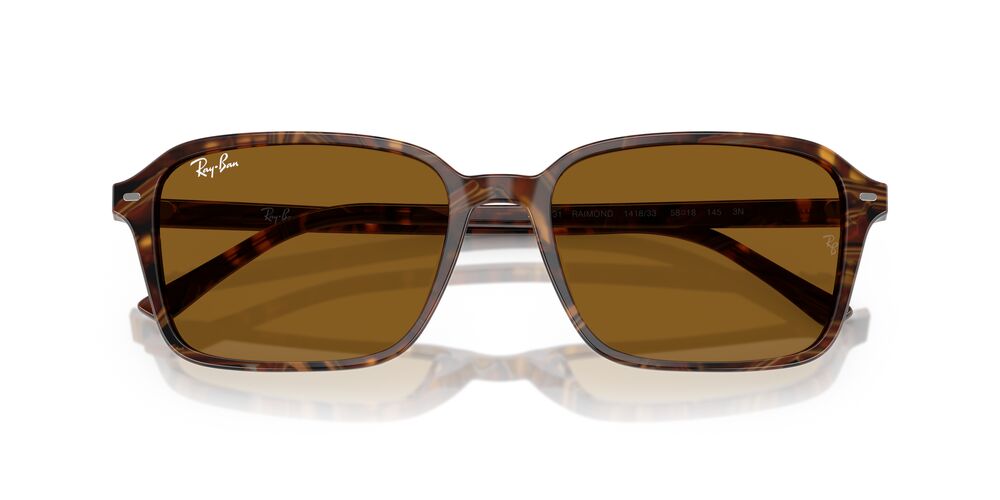 Gafas De Sol Ray-Ban RB2231 Café/Café