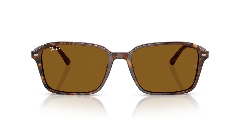 Gafas De Sol Ray-Ban RB2231 Café/Café