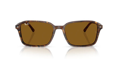 Gafas De Sol Ray-Ban RB2231 Café/Café