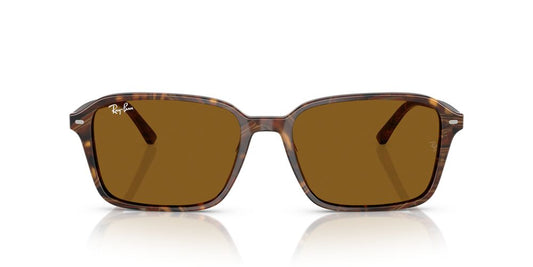 Gafas De Sol Ray-Ban RB2231 Café/Café