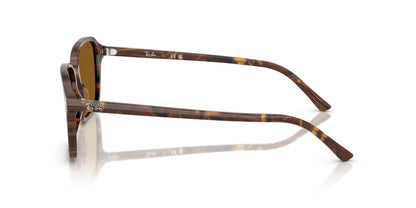 Gafas De Sol Ray-Ban RB2231 Café/Café