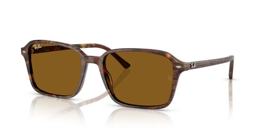 Gafas De Sol Ray-Ban RB2231 Café/Café