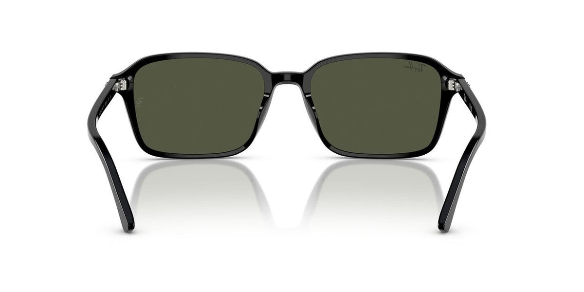 Gafas De Sol Ray-Ban RB2231 Verde/Negro
