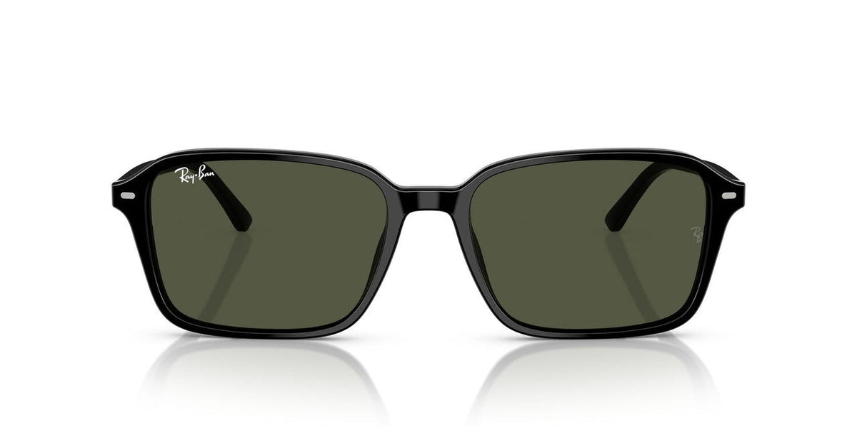Gafas De Sol Ray-Ban RB2231 Verde/Negro