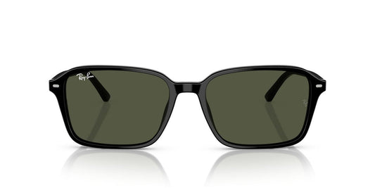 Gafas De Sol Ray-Ban RB2231 Verde/Negro