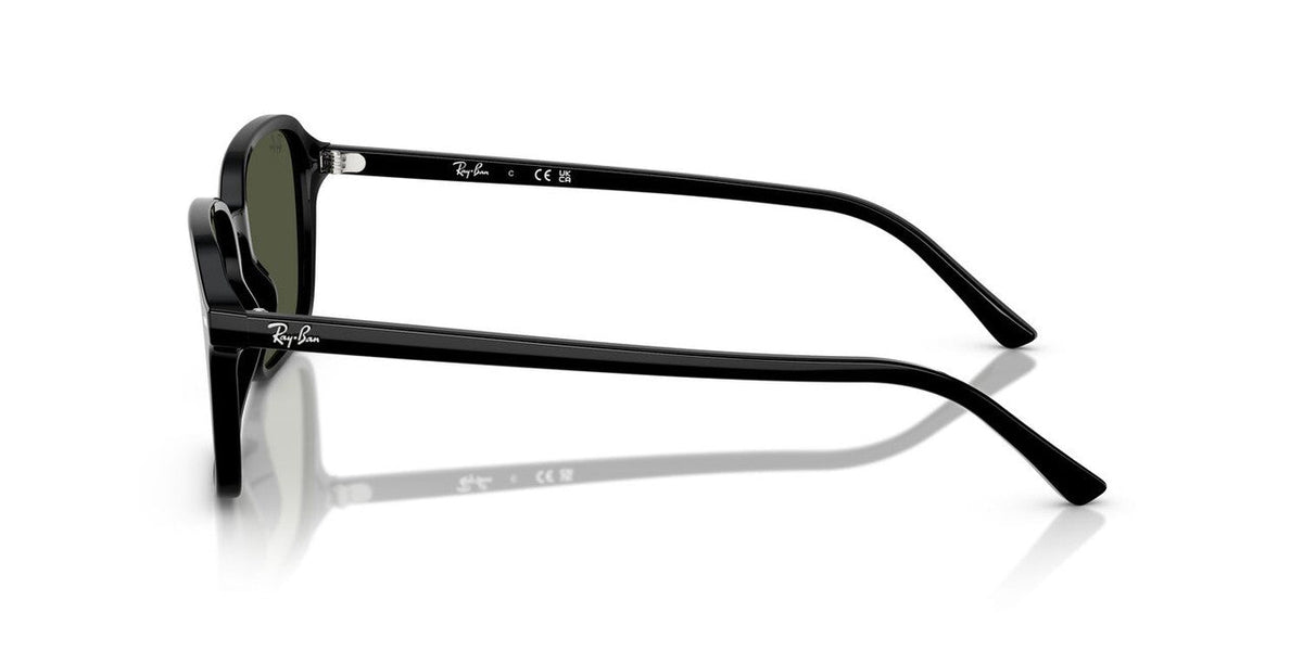 Gafas De Sol Ray-Ban RB2231 Verde/Negro