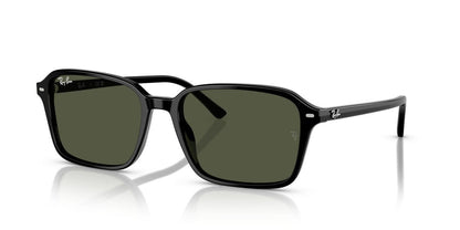 Gafas De Sol Ray-Ban RB2231 Verde/Negro