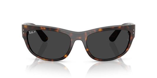 Gafas De Sol Ray-Ban RB2289 Negro/Havana