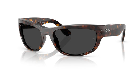Gafas De Sol Ray-Ban RB2289 Negro/Havana