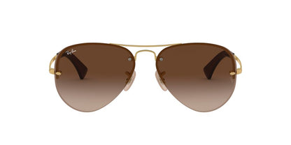 Gafas De Sol Ray-Ban RB3449 Café/Dorado