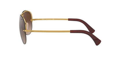 Gafas De Sol Ray-Ban RB3449 Café/Dorado
