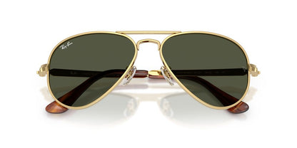Gafas De Sol Ray-Ban RB3925 Verde/Dorado