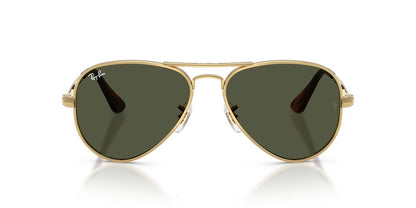 Gafas De Sol Ray-Ban RB3925 Verde/Dorado