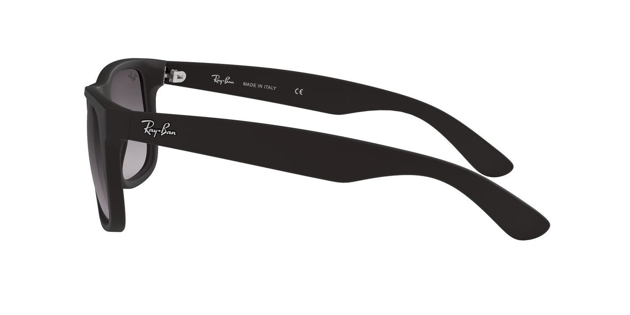 Gafas De Sol Ray-Ban RB4165 Gris/Negro