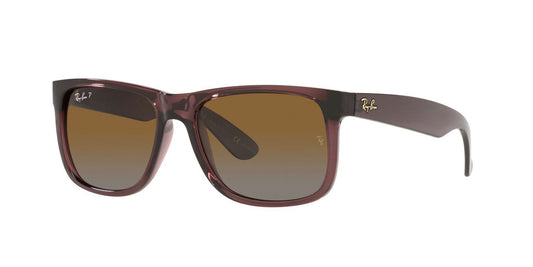Gafas De Sol Ray-Ban RB4165 Café/Café
