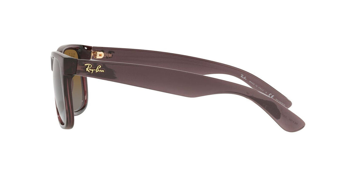 Gafas De Sol Ray-Ban RB4165 Café/Café