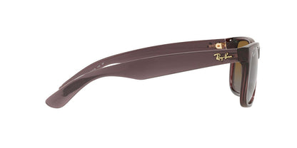 Gafas De Sol Ray-Ban RB4165 Café/Café