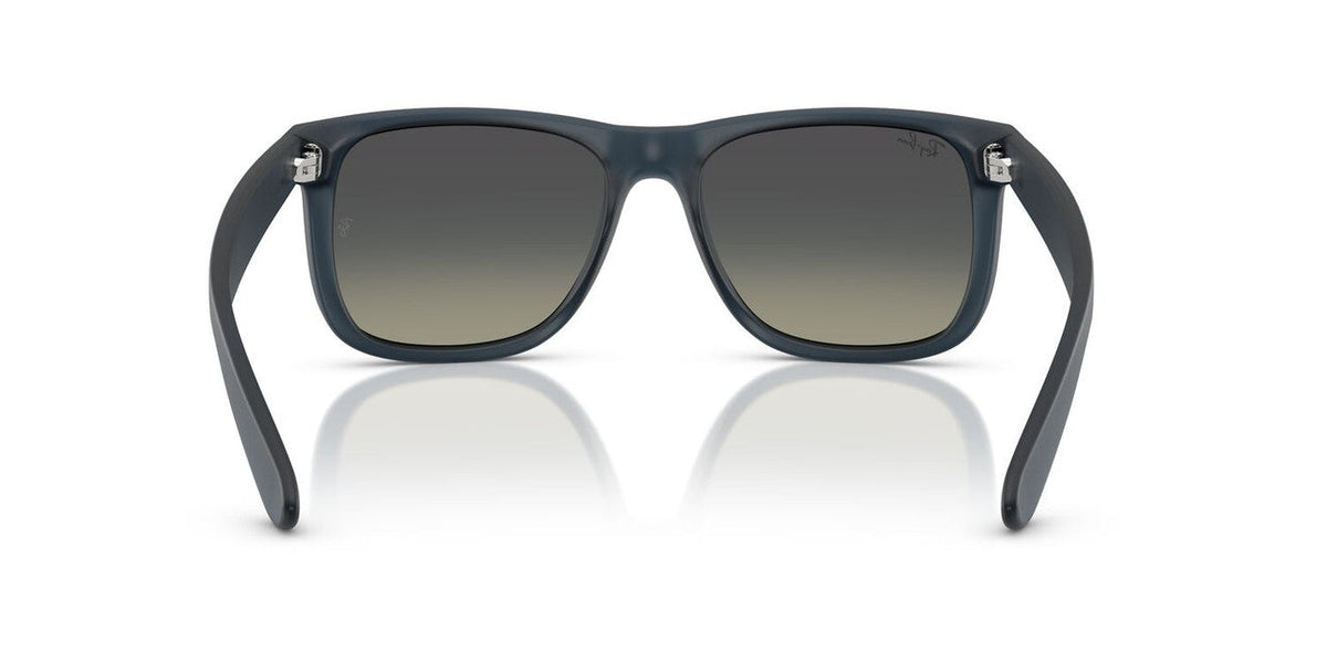 Gafas De Sol Ray-Ban RB4165 Gris/Azul