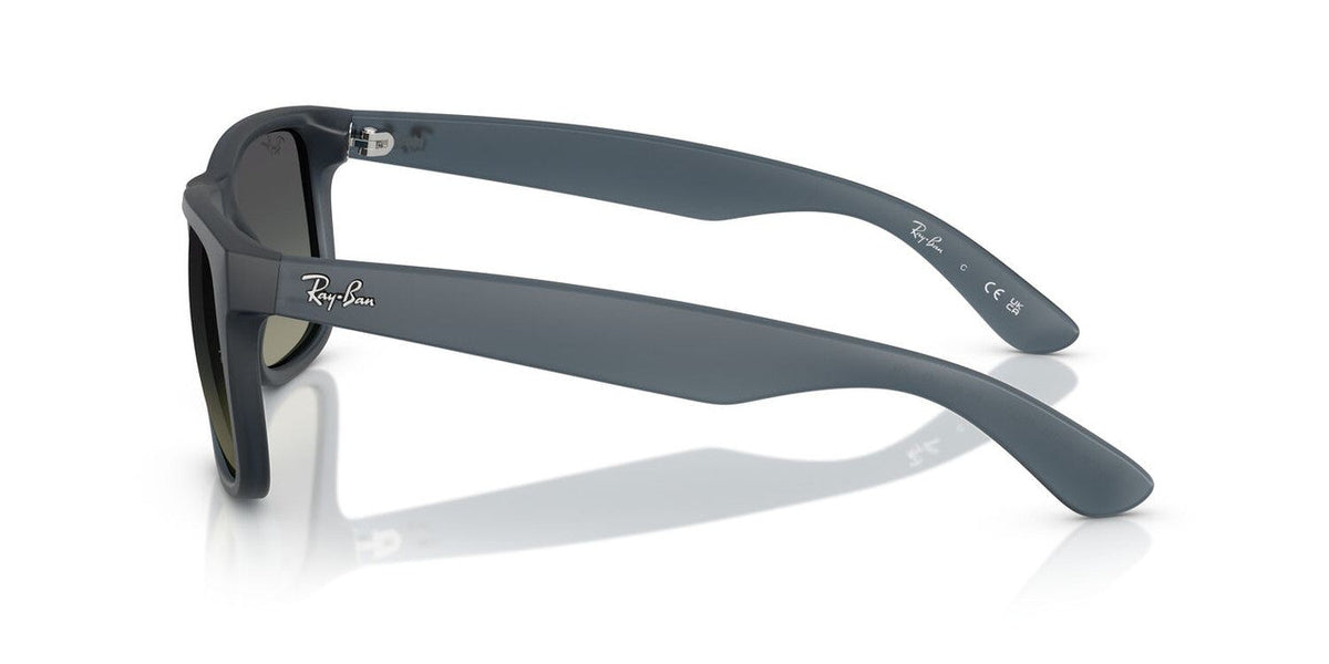 Gafas De Sol Ray-Ban RB4165 Gris/Azul