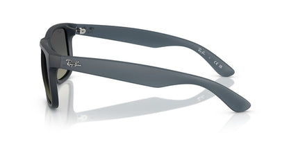 Gafas De Sol Ray-Ban RB4165 Gris/Azul