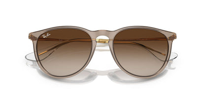 Gafas De Sol Ray-Ban RB4171 Café/Marrón