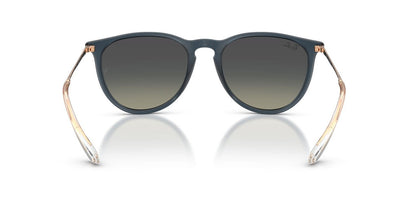 Gafas De Sol Ray-Ban RB4171 Gris/Azul