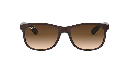 Gafas De Sol Ray-Ban RB4202 Café/Café