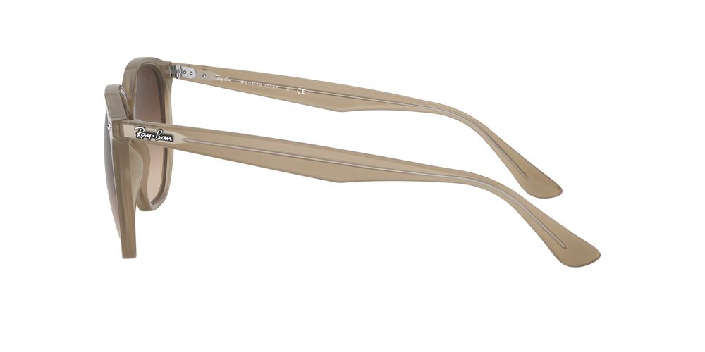 Gafas De Sol Ray-Ban RB4306 Café/Café