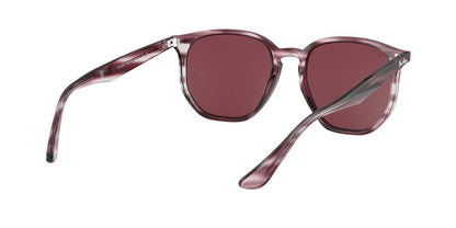 Gafas De Sol Ray-Ban RB4306 Burdeos/Burdeo