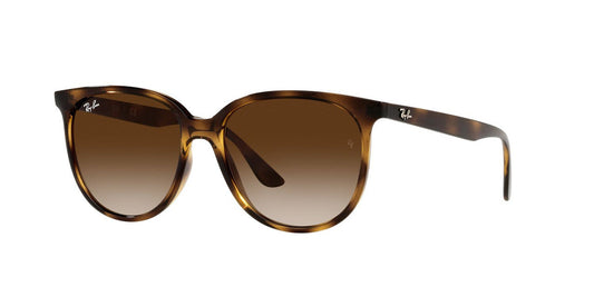 Gafas De Sol Ray-Ban RB4378 Café/Havana