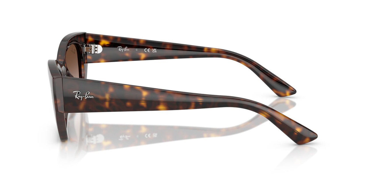 Gafas De Sol Ray-Ban RB4430 Café/Havana