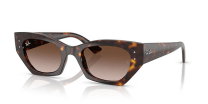 Gafas De Sol Ray-Ban RB4430 Café/Havana