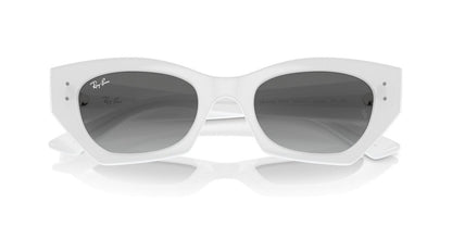 Gafas De Sol Ray-Ban RB4430 Gris/Blanco