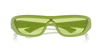 Gafas De Sol Ray-Ban RB4431 Verde/Verde