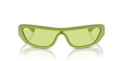 Gafas De Sol Ray-Ban RB4431 Verde/Verde
