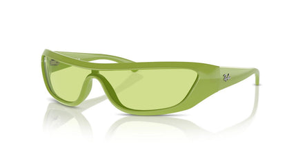 Gafas De Sol Ray-Ban RB4431 Verde/Verde